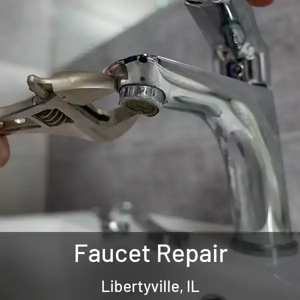  Faucet Repair Libertyville, IL