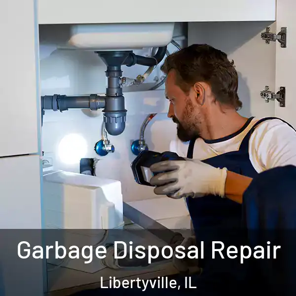  Garbage Disposal Repair Libertyville, IL