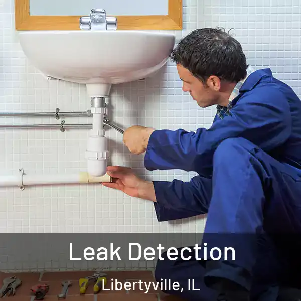  Leak Detection Libertyville, IL