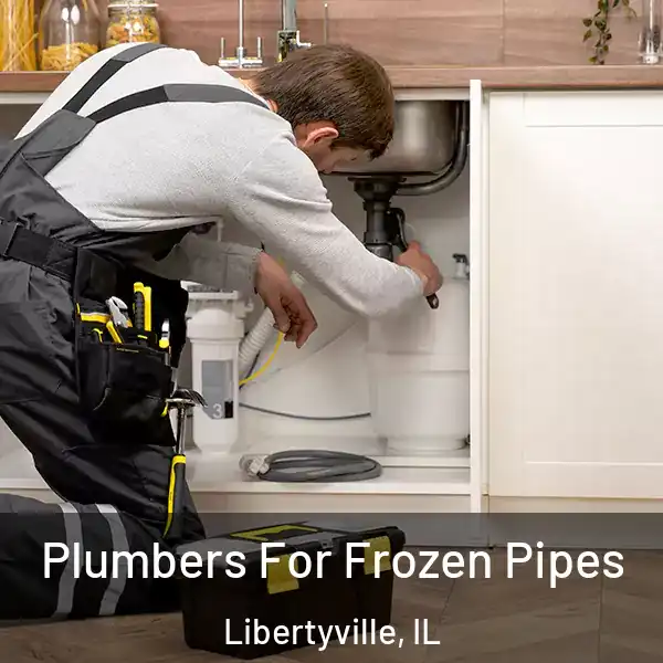  Plumbers For Frozen Pipes Libertyville, IL