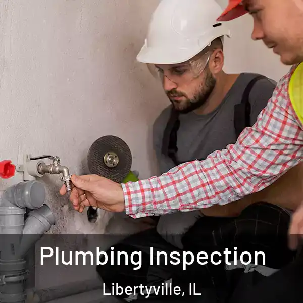  Plumbing Inspection Libertyville, IL