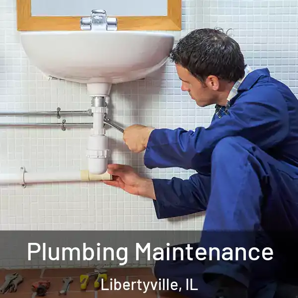  Plumbing Maintenance Libertyville, IL