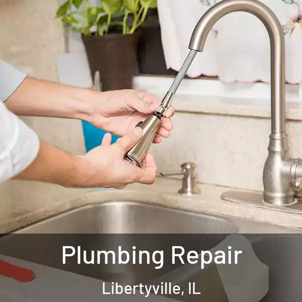  Plumbing Repair Libertyville, IL