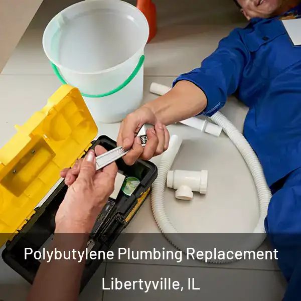  Polybutylene Plumbing Replacement Libertyville, IL