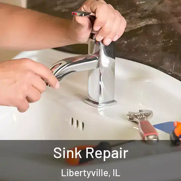  Sink Repair Libertyville, IL