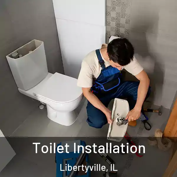  Toilet Installation Libertyville, IL
