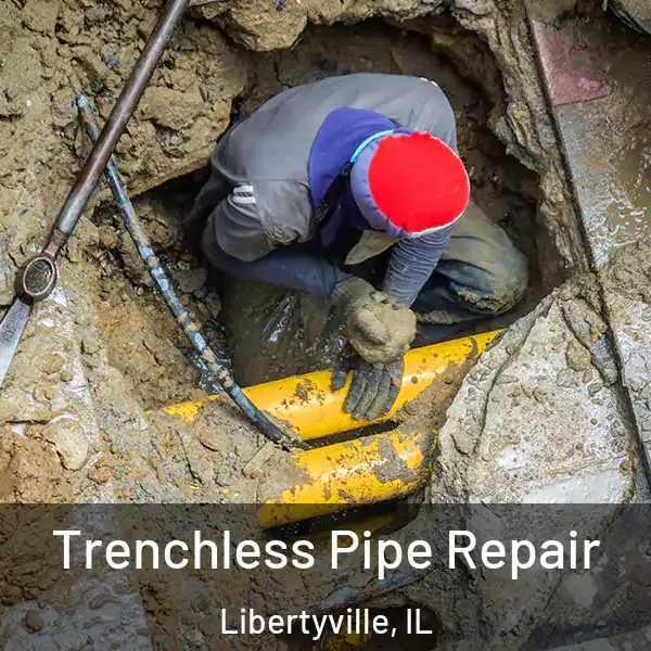  Trenchless Pipe Repair Libertyville, IL