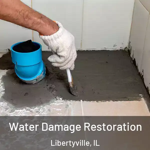  Water Damage Restoration Libertyville, IL