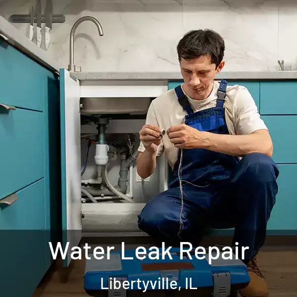  Water Leak Repair Libertyville, IL